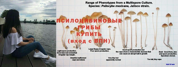 гидропоника Бронницы